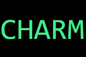 CHARM 2013