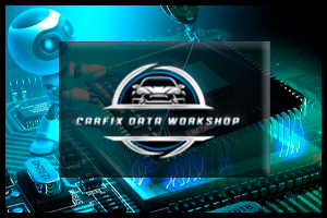 CARFIX ECU PINOUT / IMMO
