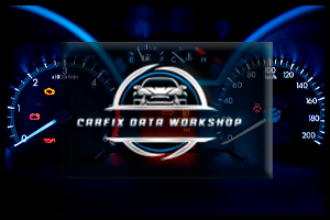 CARFIX PINOUT TABLEROS